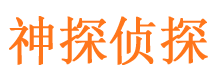 凌河市私家侦探